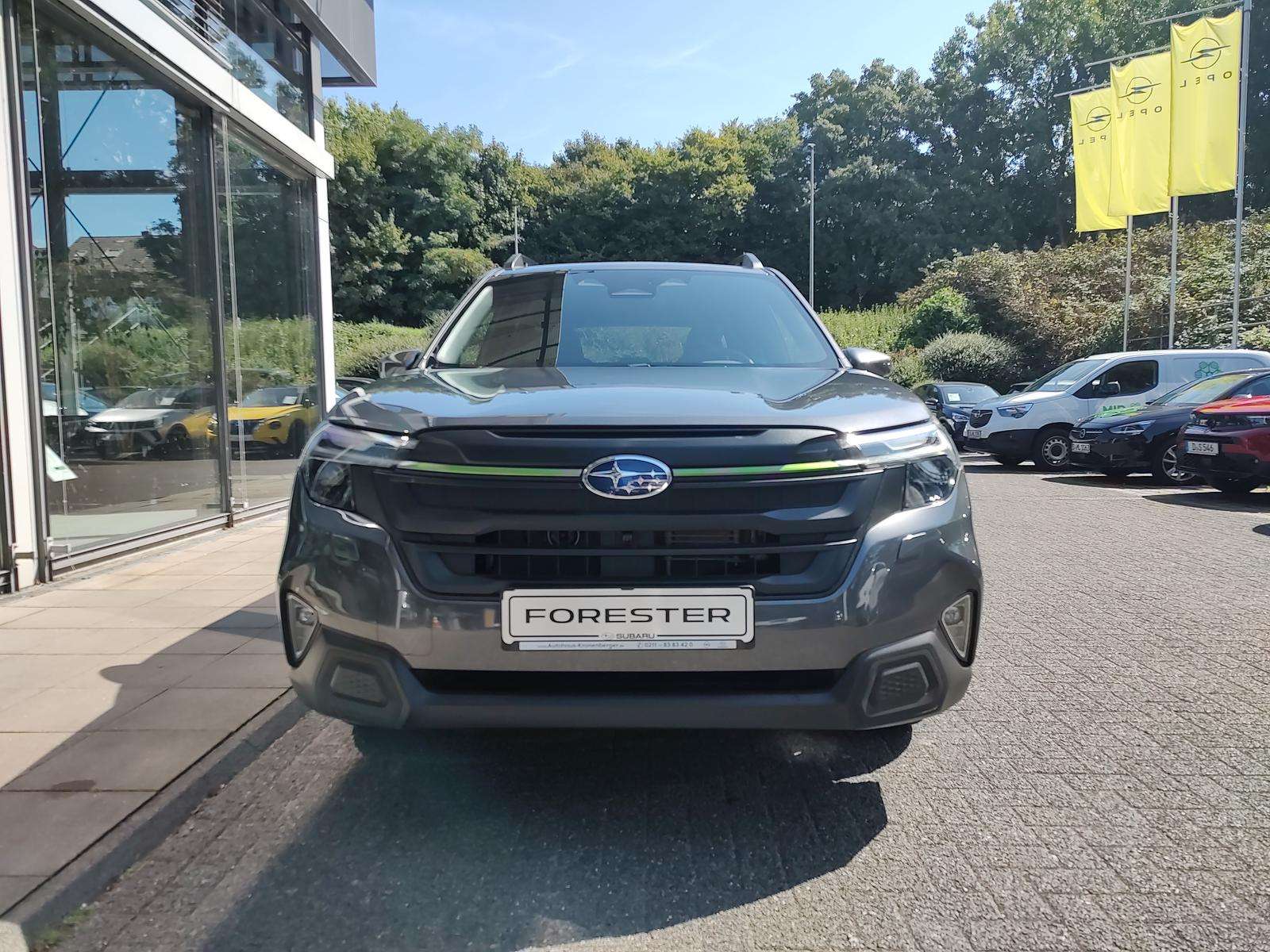 Fahrzeugbild eines Subaru Forester