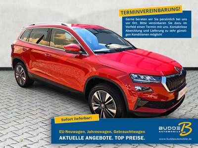 Bild Skoda Karoq
