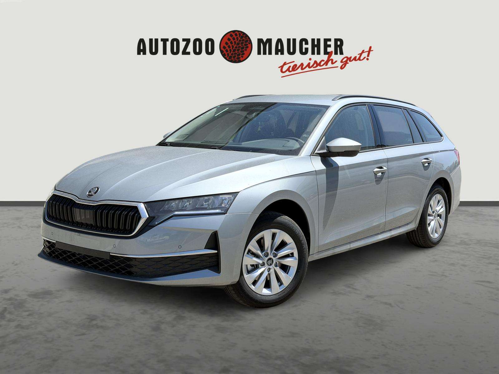 Fahrzeugbild eines Skoda Octavia