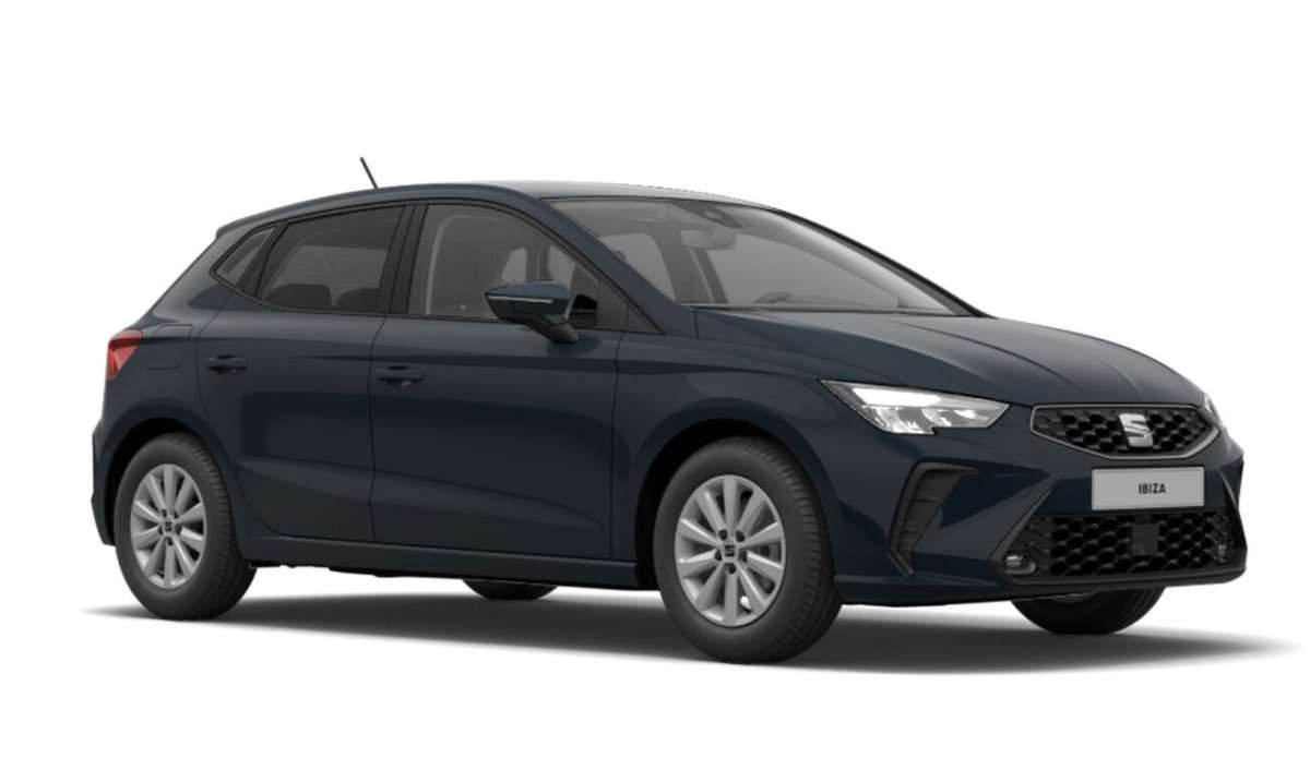 Fahrzeugbild eines SEAT Ibiza