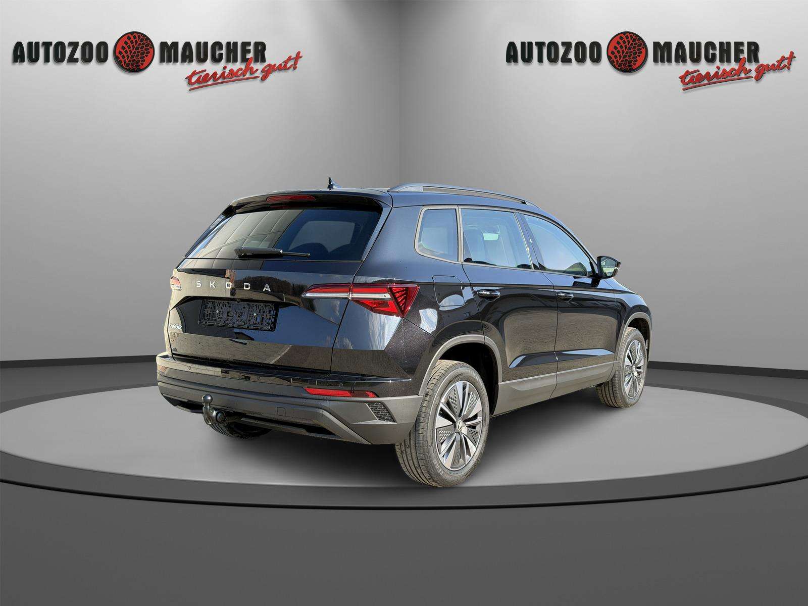 Fahrzeugbild eines Skoda Karoq