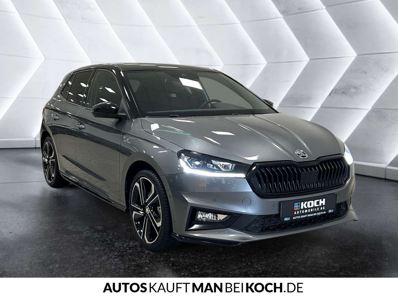 Fahrzeugbild eines Skoda Fabia