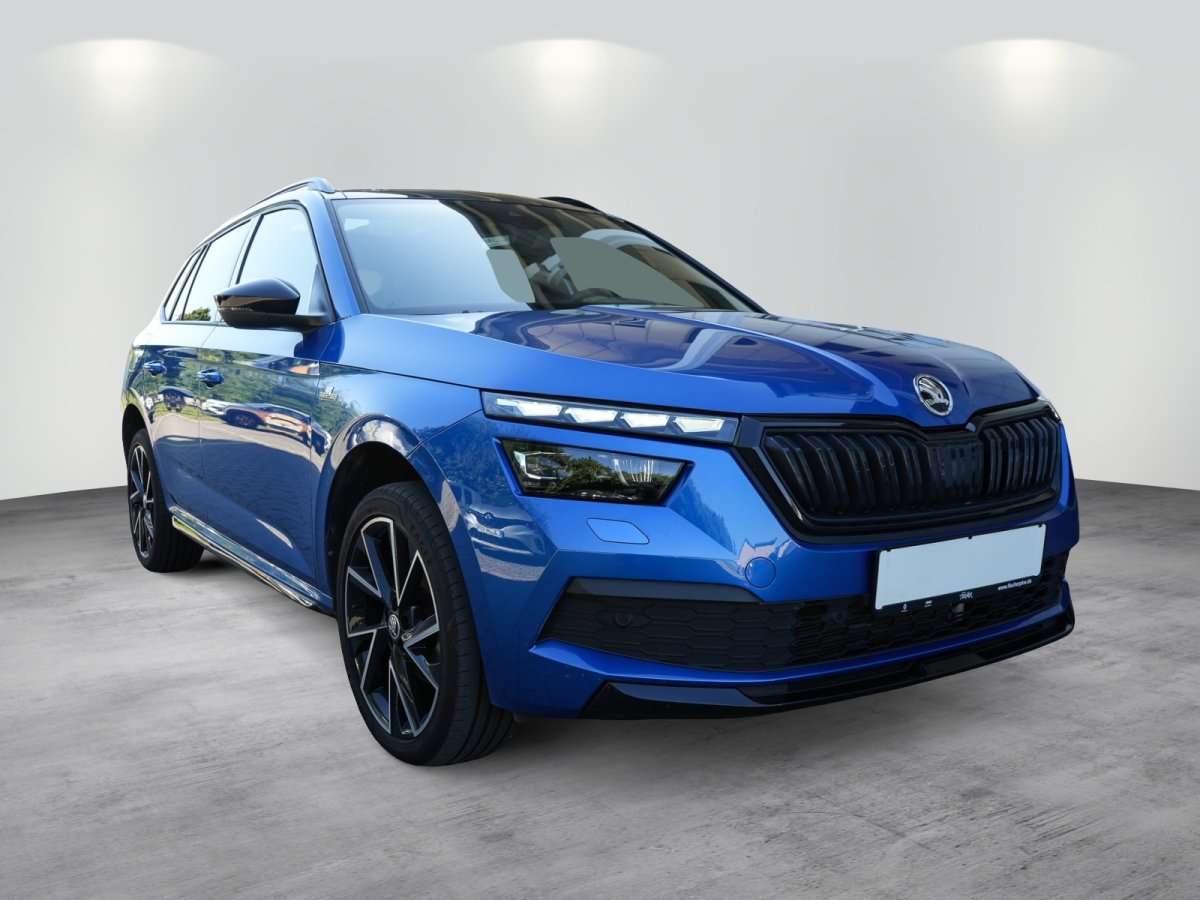 Fahrzeugbild eines Skoda Kamiq