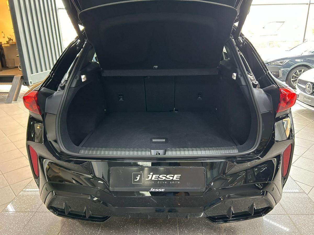 Fahrzeugbild eines CUPRA Terramar