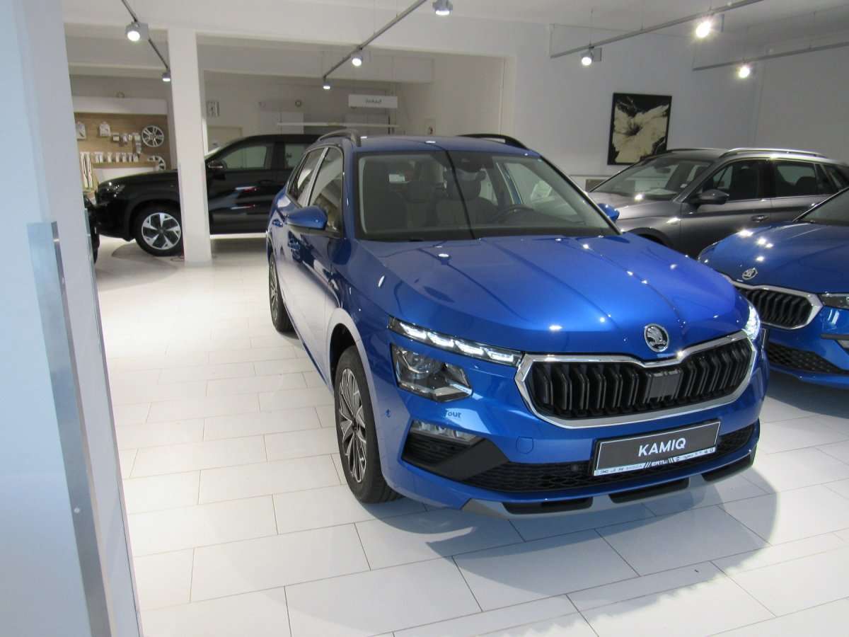Fahrzeugbild eines Skoda Kamiq