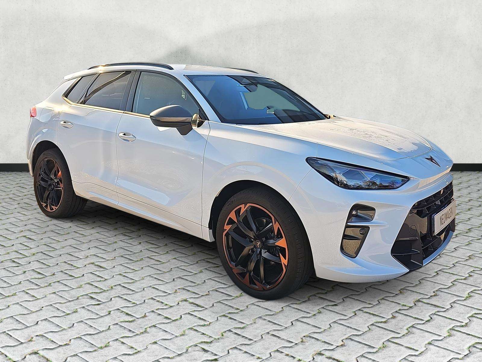 Fahrzeugbild eines CUPRA Terramar