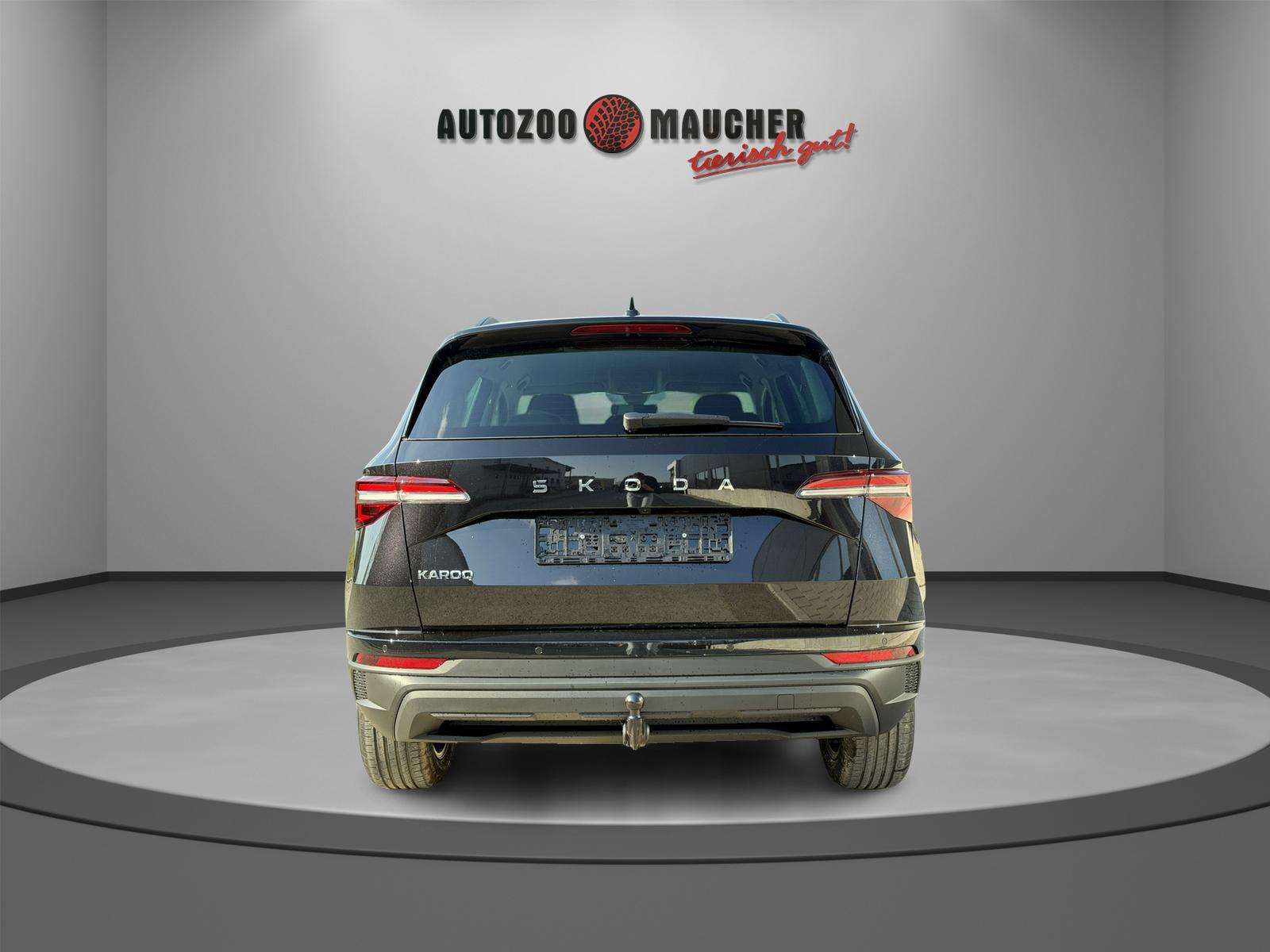 Fahrzeugbild eines Skoda Karoq