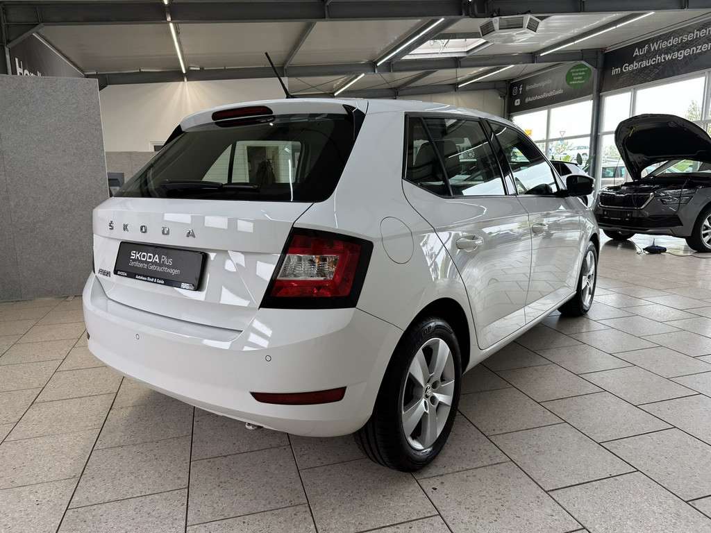 Fahrzeugbild eines Skoda Fabia