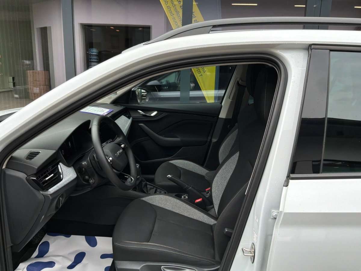 Fahrzeugbild eines Skoda Kamiq