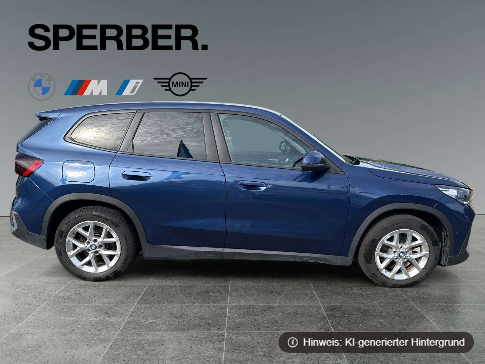 Fahrzeugbild eines BMW iX1