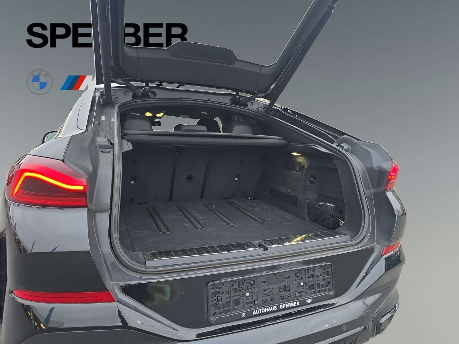 Fahrzeugbild eines BMW X6