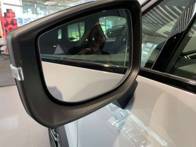 Fahrzeugbild eines Renault Symbioz