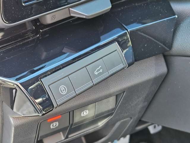 Fahrzeugbild eines Renault Rafale