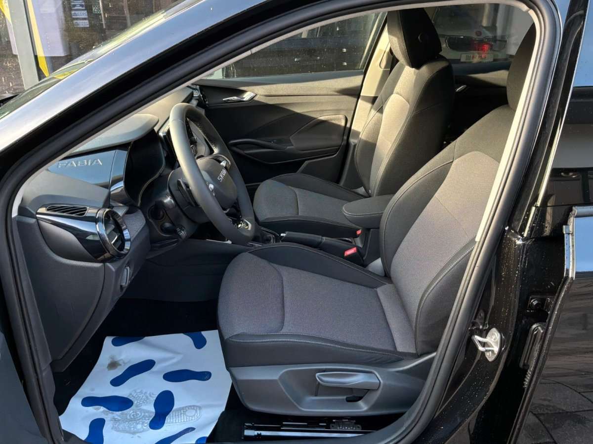 Fahrzeugbild eines Skoda Fabia