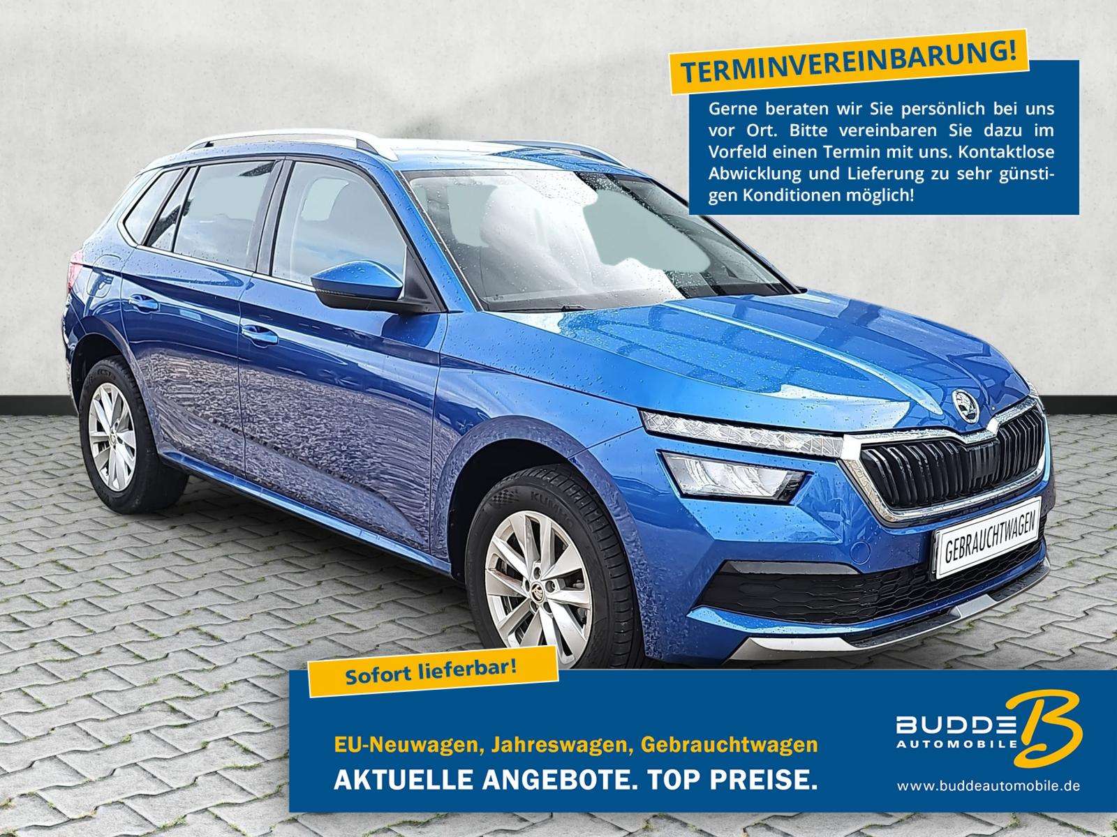 Fahrzeugbild eines Skoda Kamiq