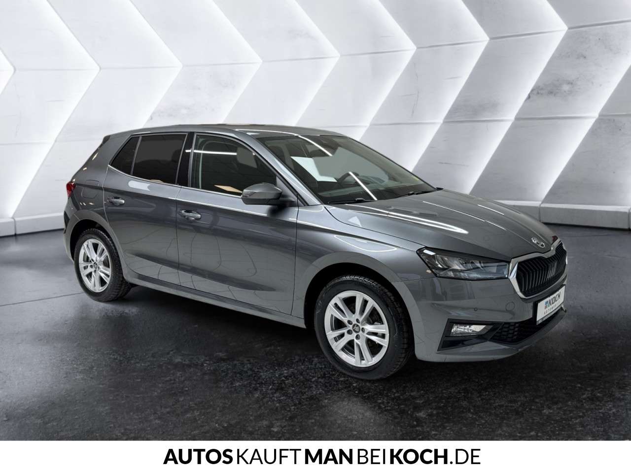 Fahrzeugbild eines Skoda Fabia