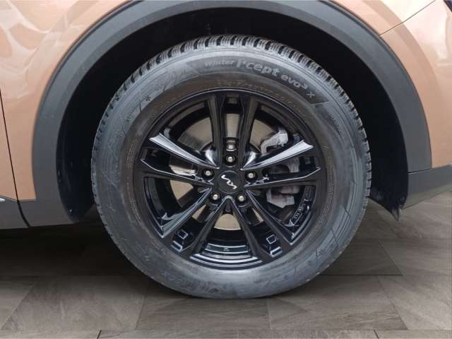 Fahrzeugbild eines Kia Sportage