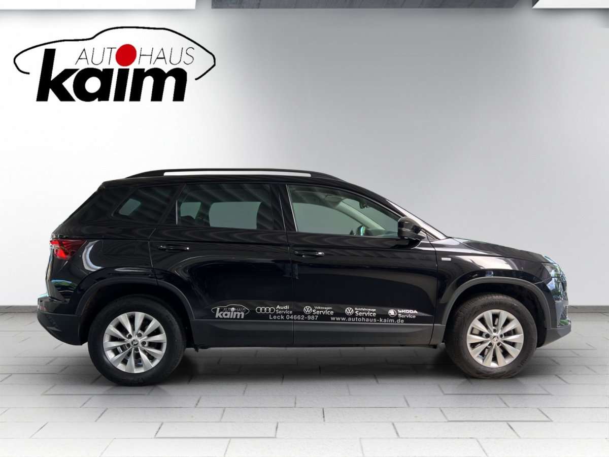 Fahrzeugbild eines Skoda Karoq