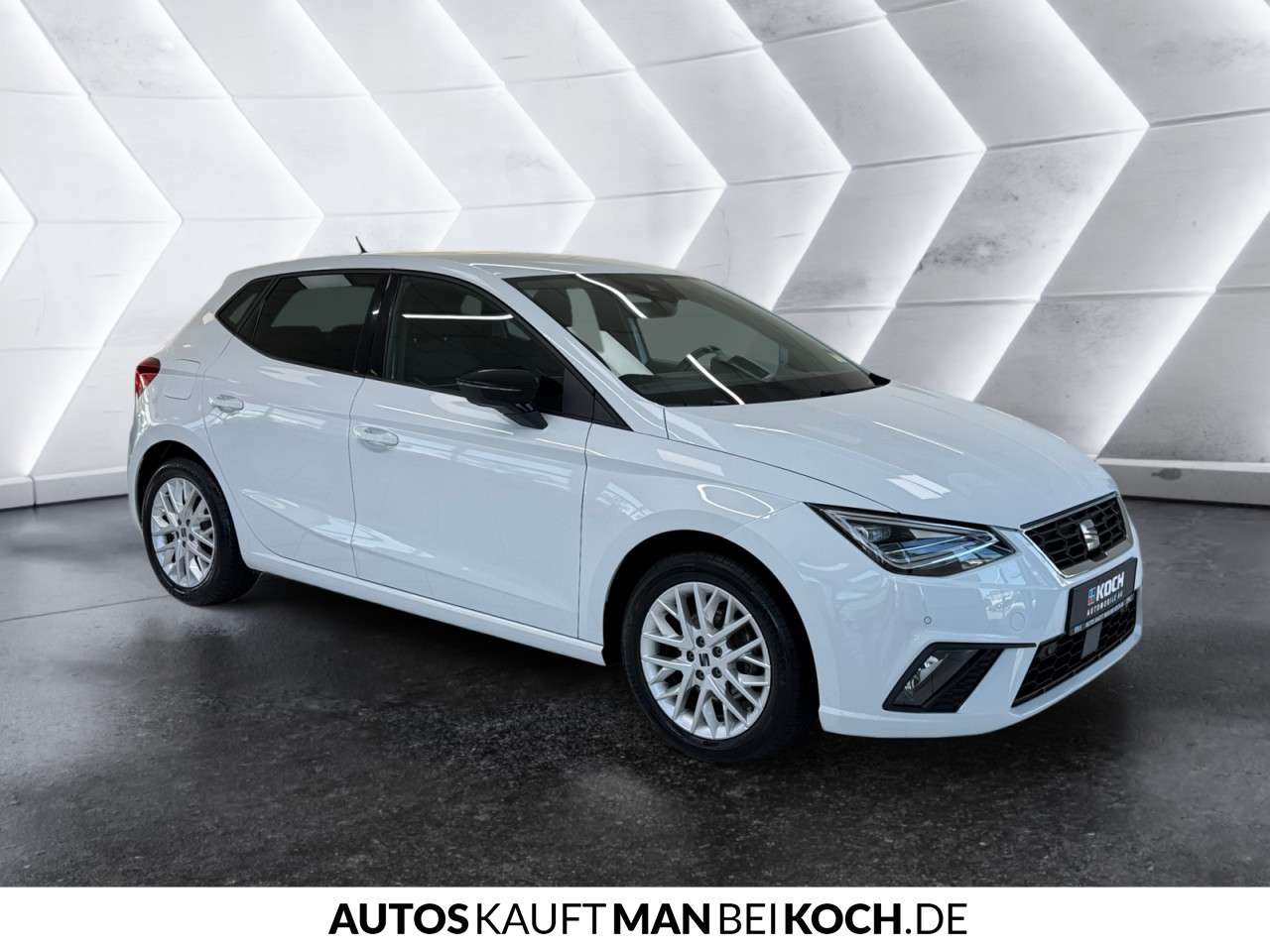 Fahrzeugbild eines SEAT Ibiza