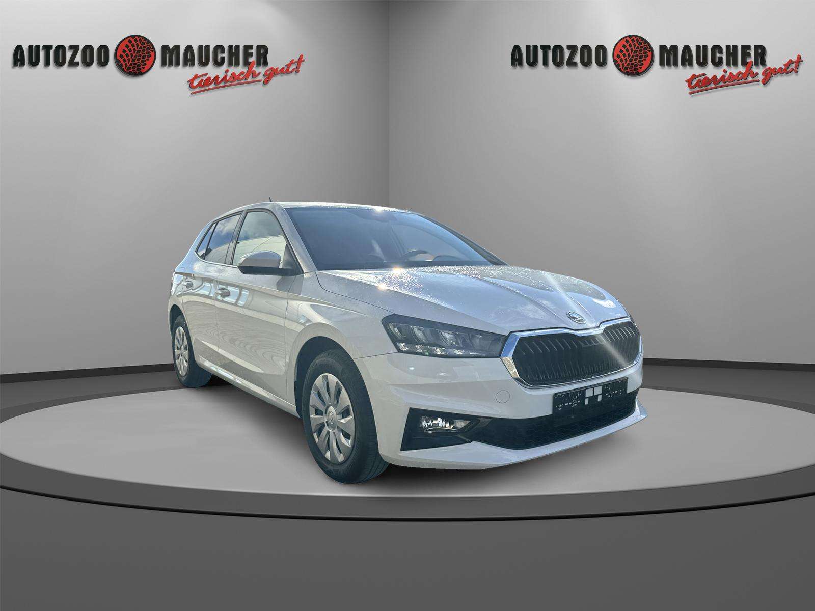 Fahrzeugbild eines Skoda Fabia