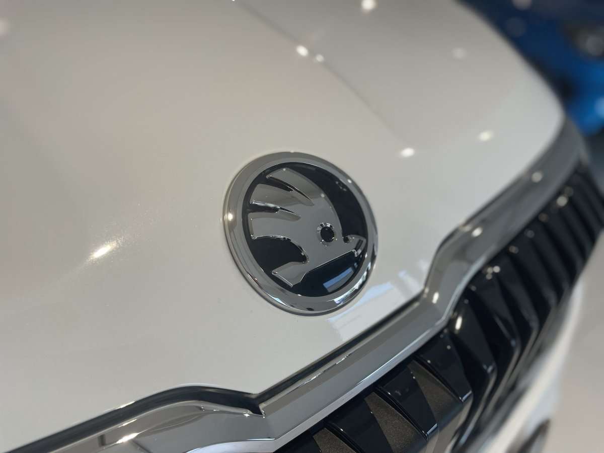 Fahrzeugbild eines Skoda Karoq