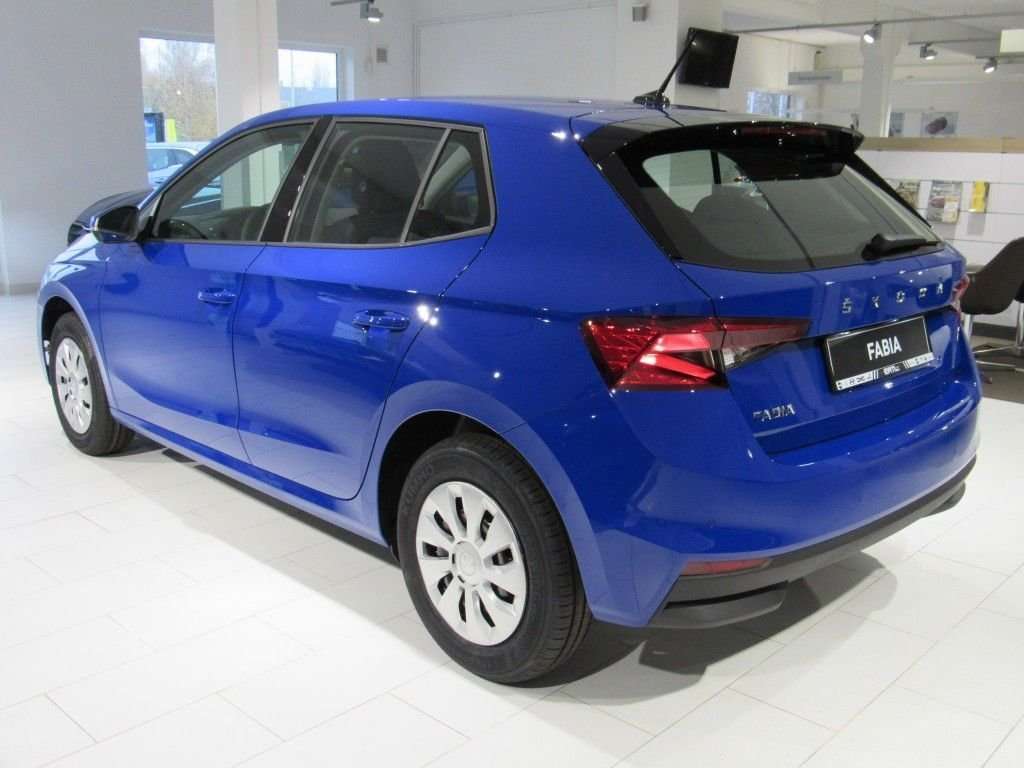 Fahrzeugbild eines Skoda Fabia