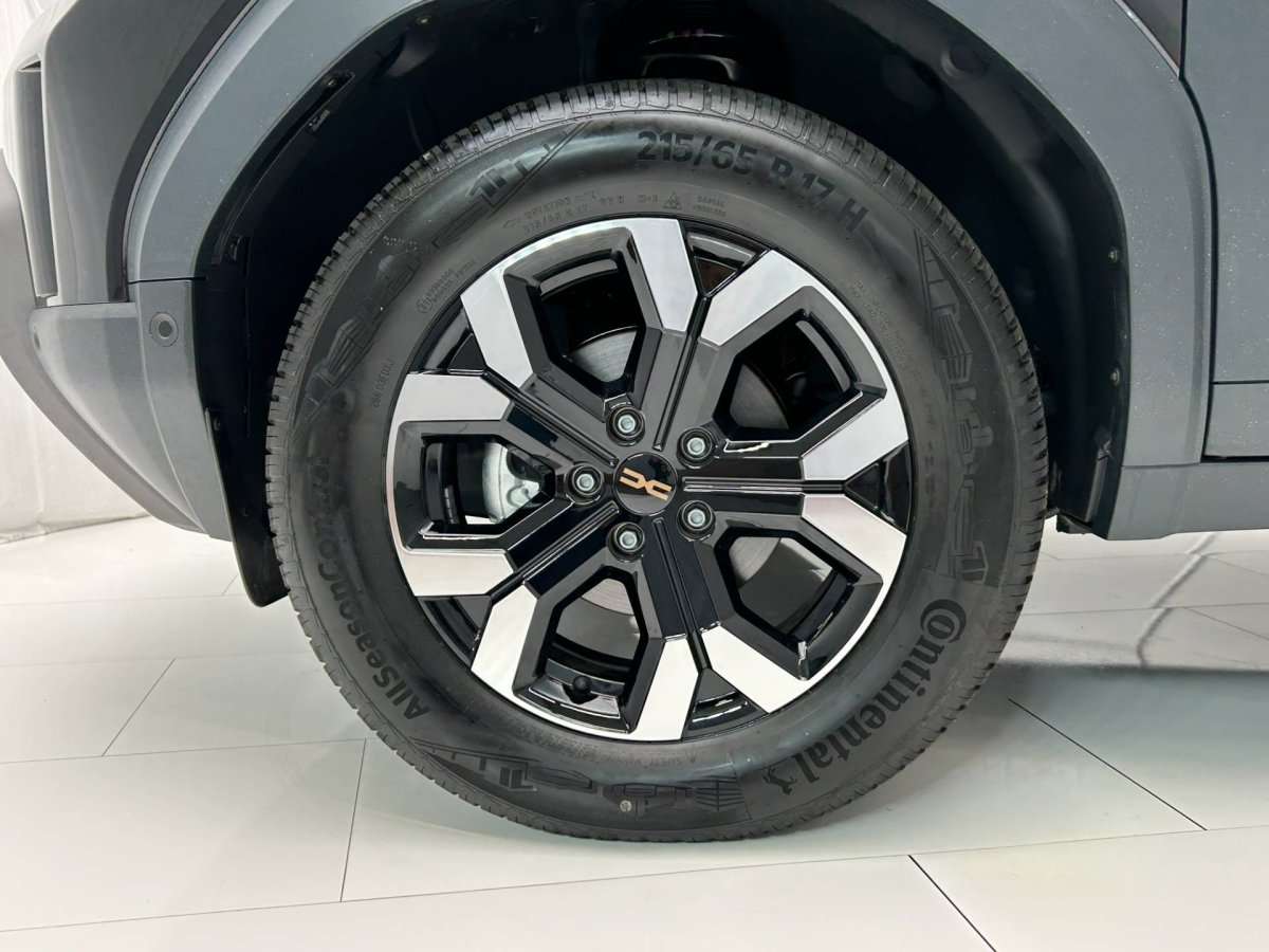 Fahrzeugbild eines Dacia Duster