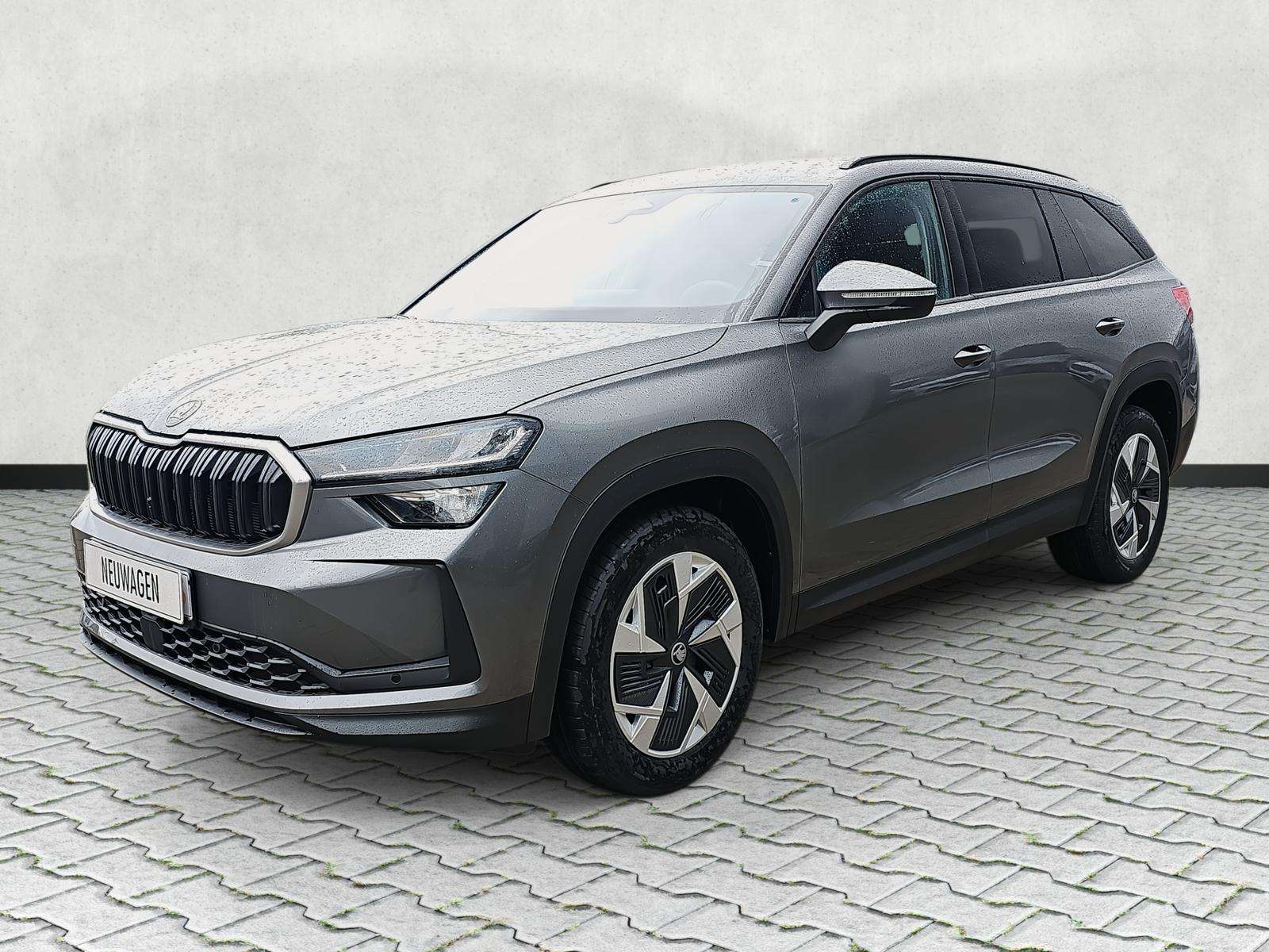 Fahrzeugbild eines Skoda Kodiaq