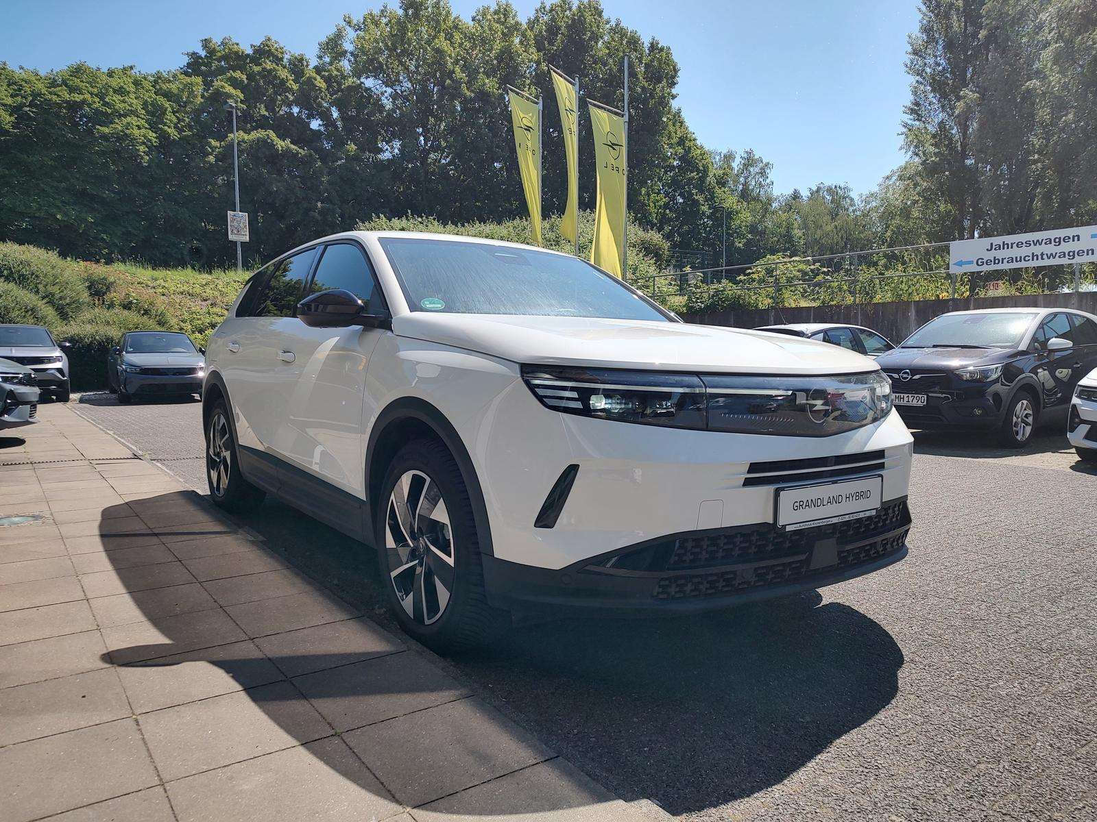 Fahrzeugbild eines Opel Grandland X