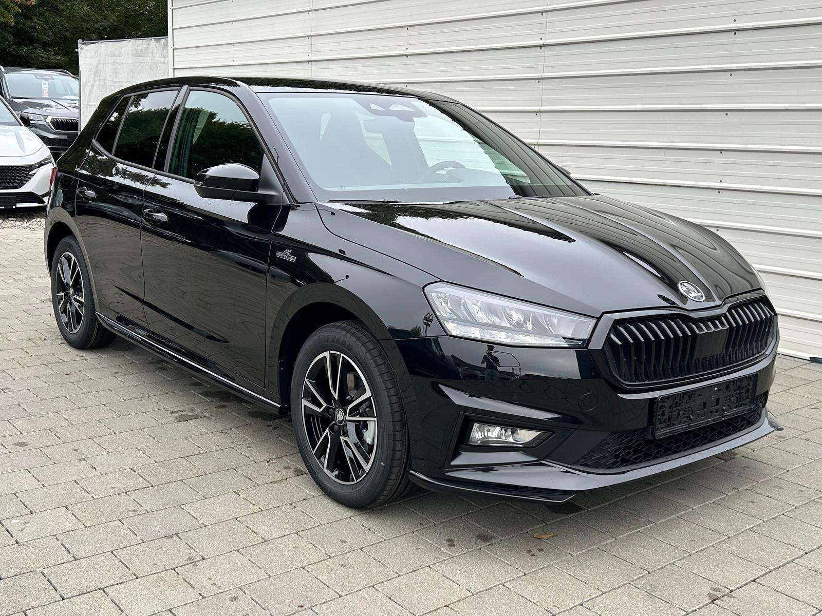 Fahrzeugbild eines Skoda Fabia