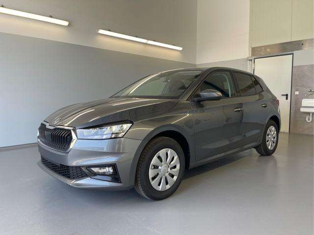 Fahrzeugbild eines Skoda Fabia