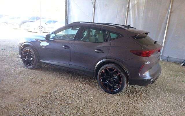 Fahrzeugbild eines CUPRA Formentor