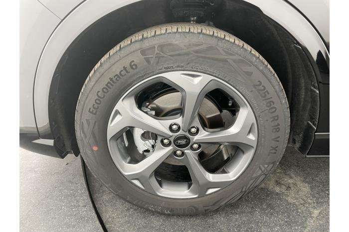 Fahrzeugbild eines Ford Kuga