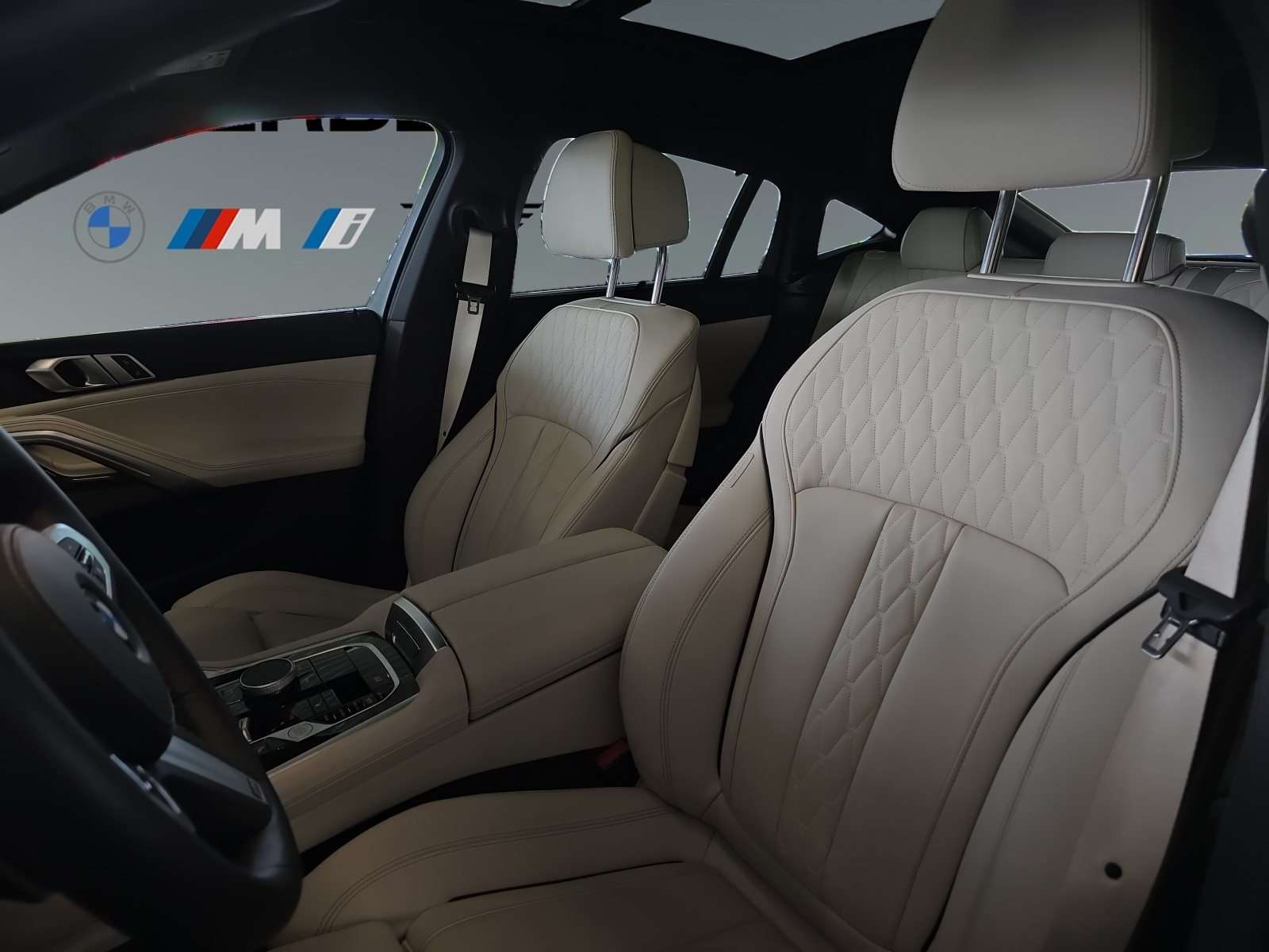 Fahrzeugbild eines BMW X6