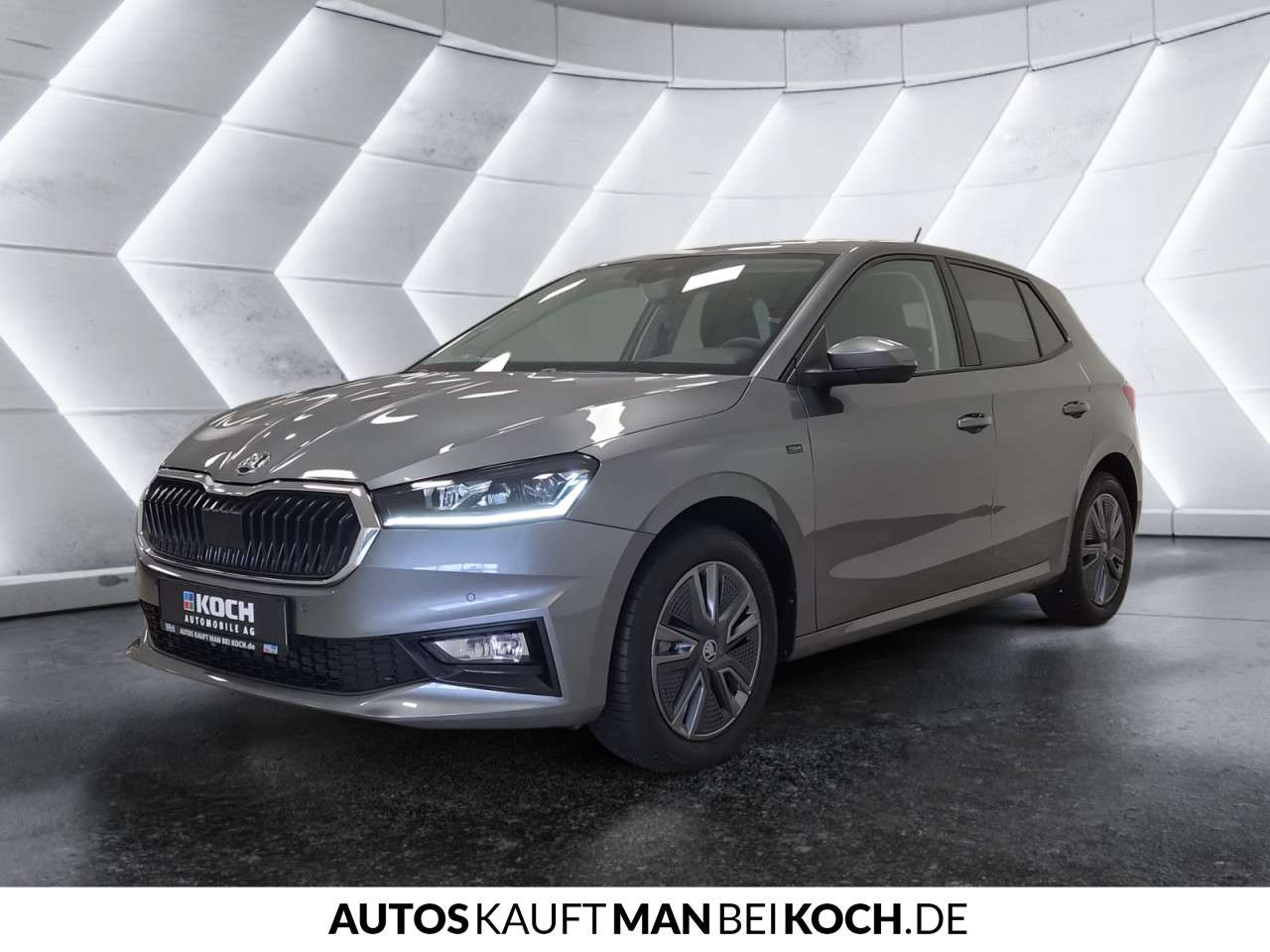 Fahrzeugbild eines Skoda Fabia