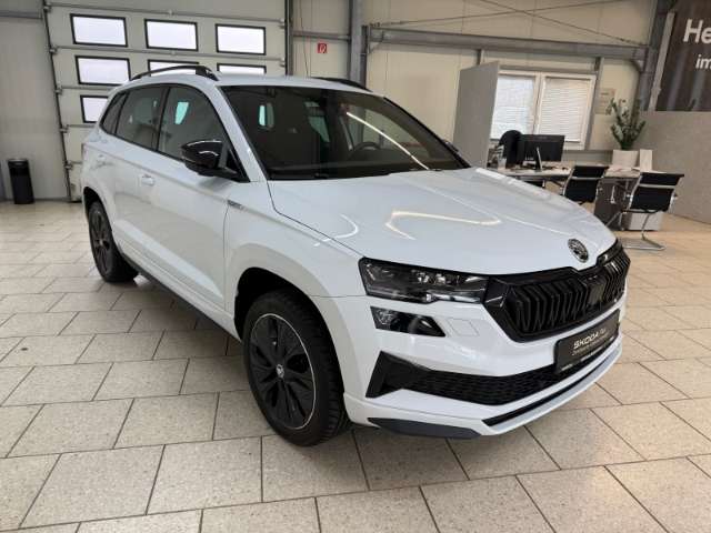 Fahrzeugbild eines Skoda Karoq