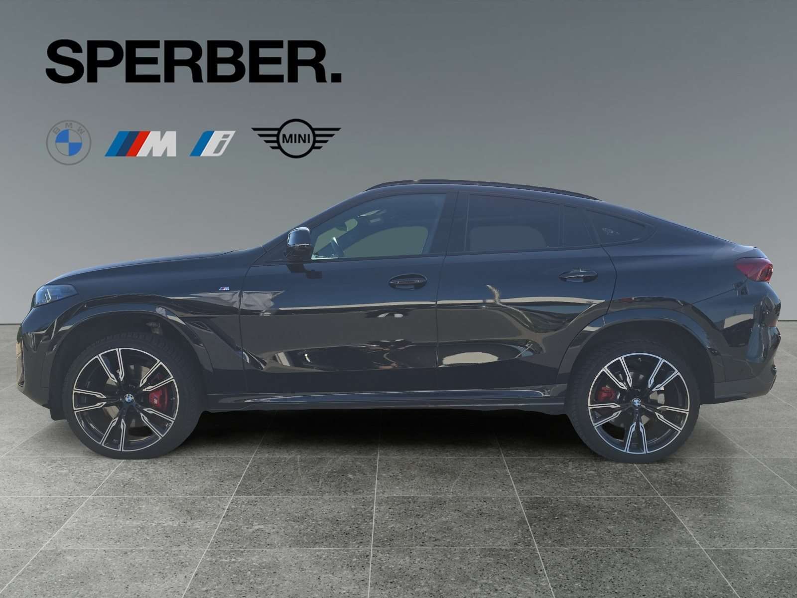 Fahrzeugbild eines BMW X6