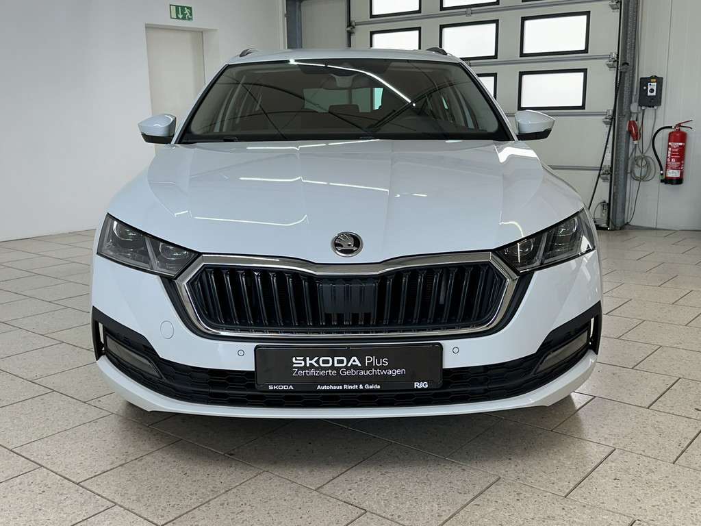 Fahrzeugbild eines Skoda Octavia