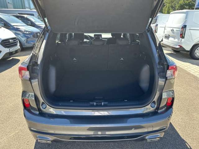 Fahrzeugbild eines Ford Kuga