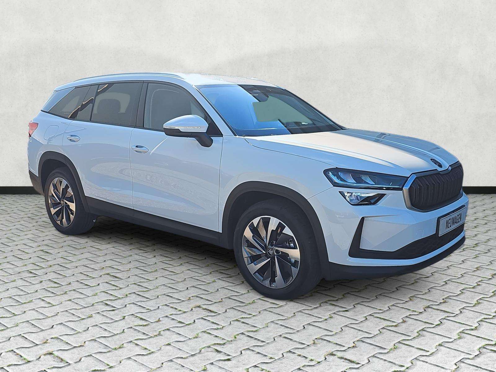 Fahrzeugbild eines Skoda Kodiaq