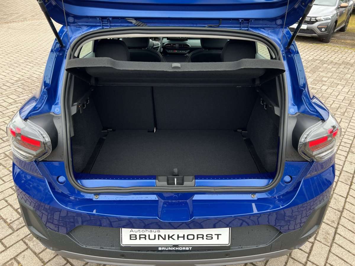 Fahrzeugbild eines Dacia Sandero