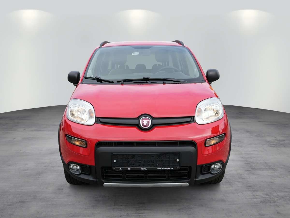 Fahrzeugbild eines Fiat Panda