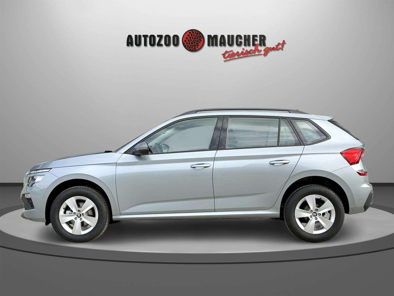 Fahrzeugbild eines Skoda Kamiq