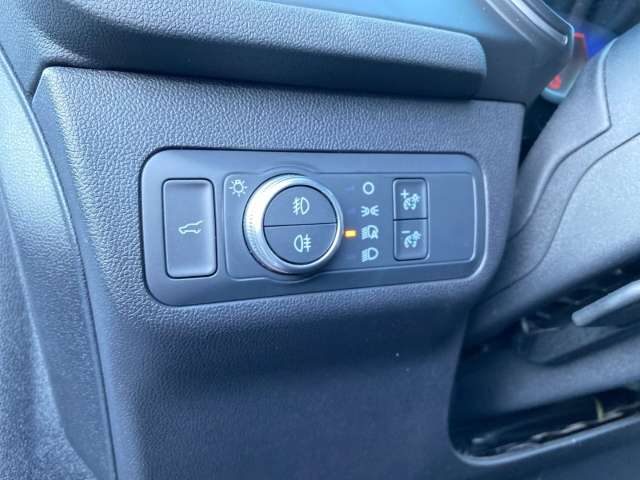 Fahrzeugbild eines Ford Kuga