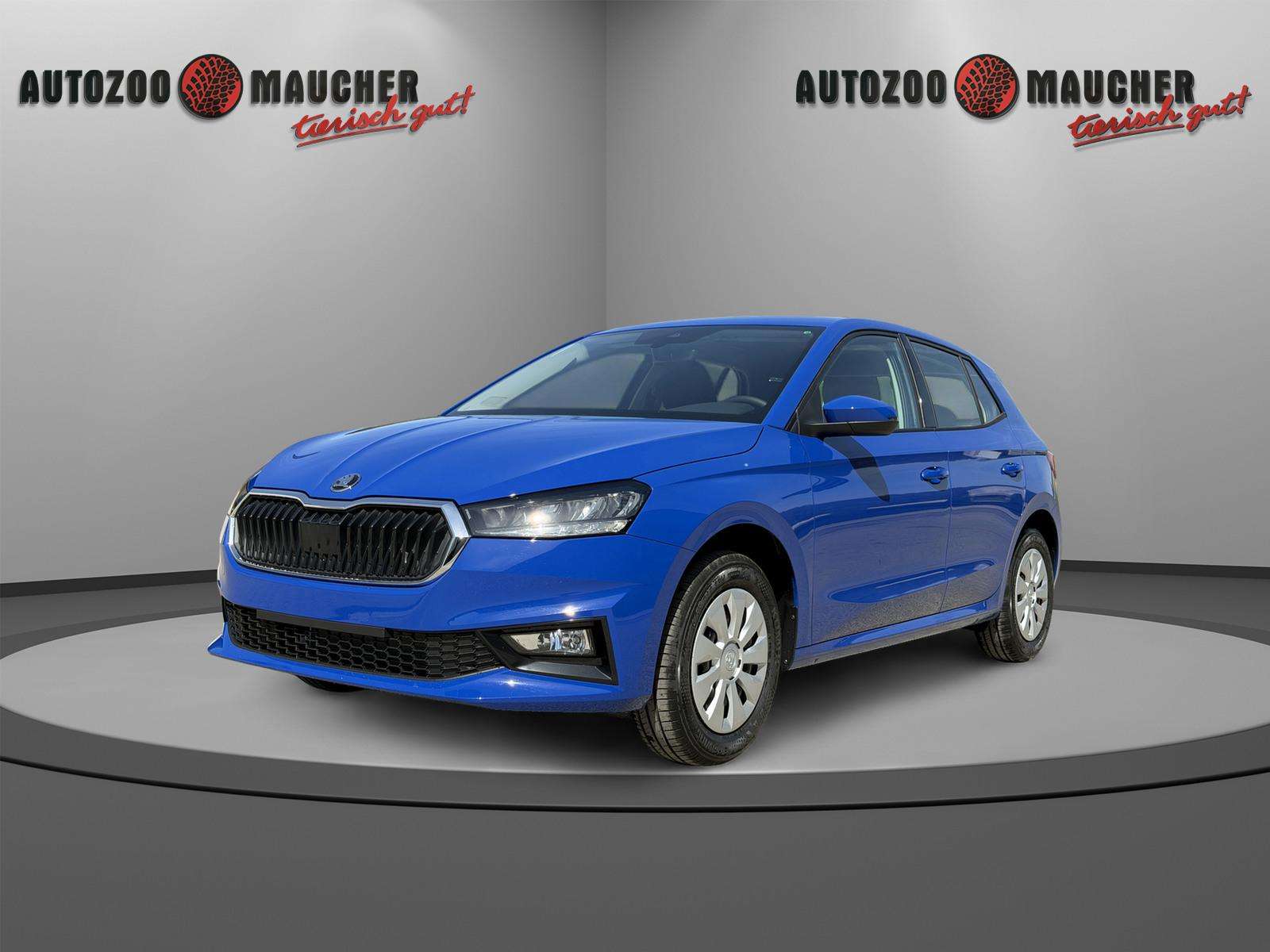 Fahrzeugbild eines Skoda Fabia