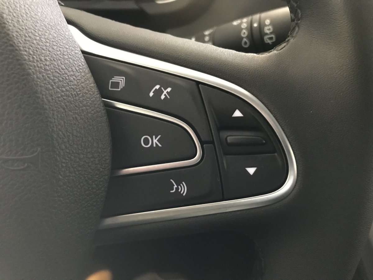 Fahrzeugbild eines Renault Grand Scénic