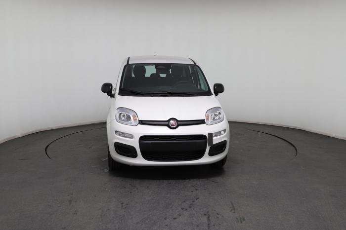 Fahrzeugbild eines Fiat Panda