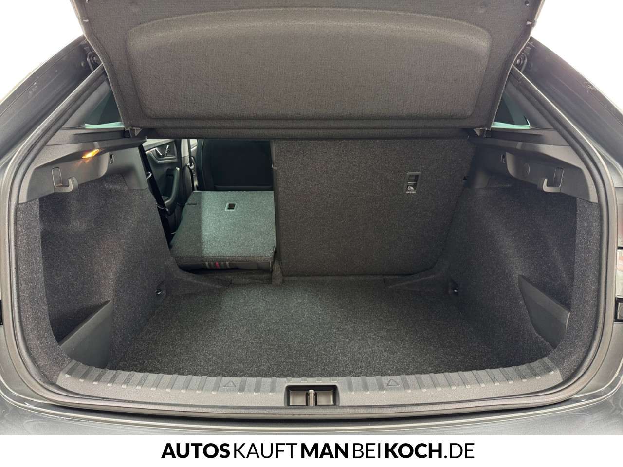 Fahrzeugbild eines Skoda Scala