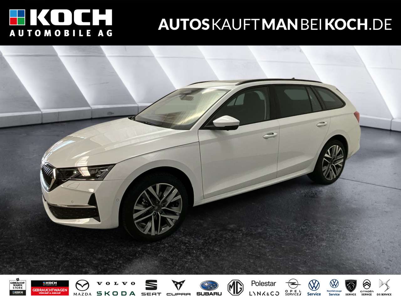 Fahrzeugbild eines Skoda Octavia