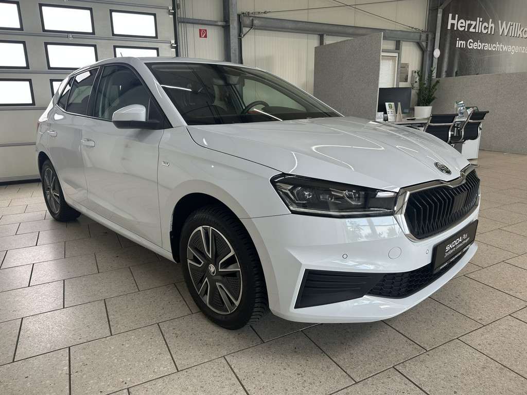 Fahrzeugbild eines Skoda Fabia